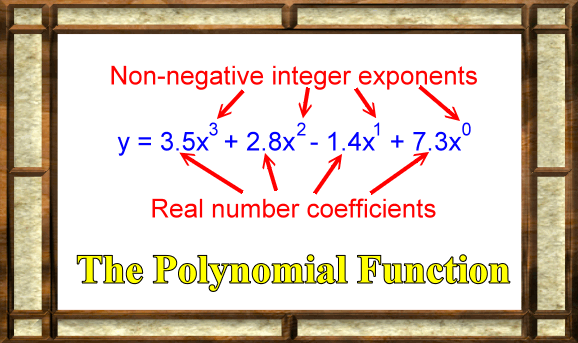 Polynomial Function