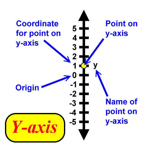 y-axis terms