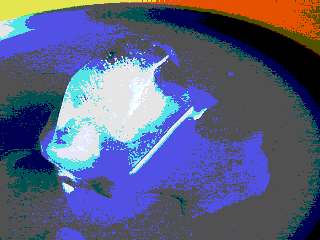 Melting Ice