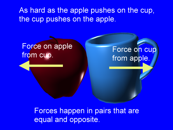 equal and opposite forces on colliding apple and cup