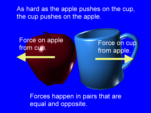 Newton's Third Law of Motion & Momentum