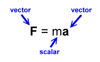 F=ma scalars and vectors