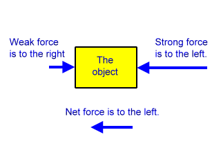 newton vs. timenet forces