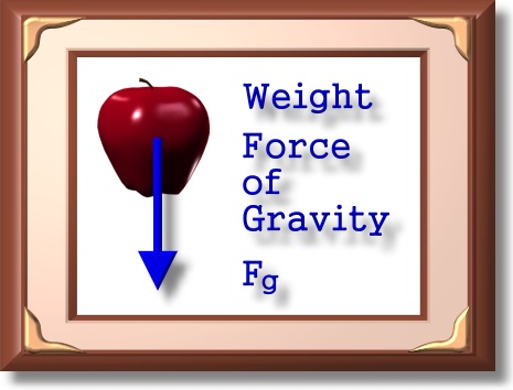 Weight of Apple