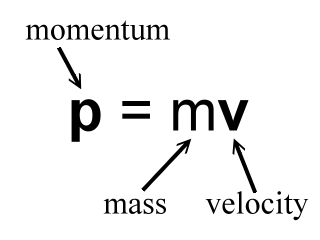 Momentum equals mass times velocity.