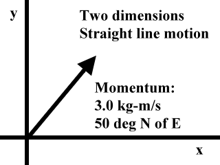 Two dimensional momentum vector